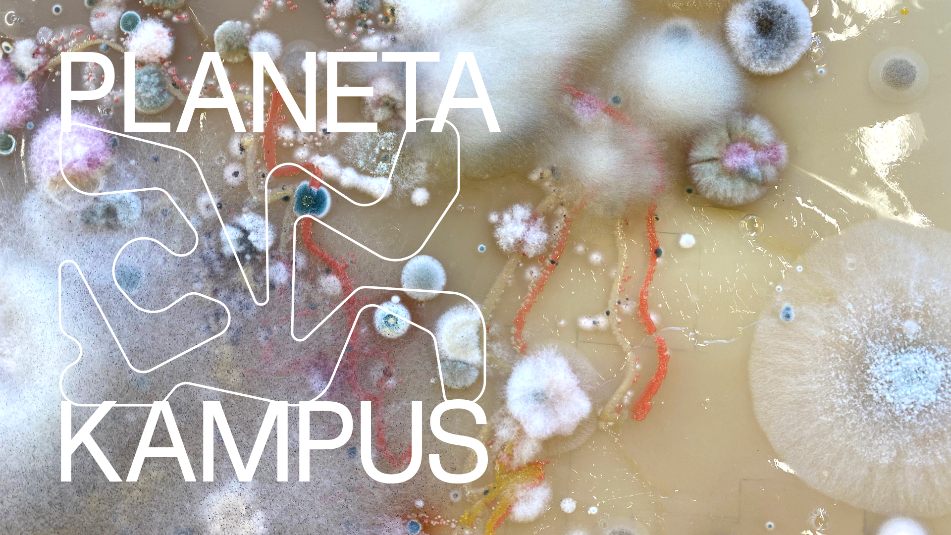 PLANETA KAMPUS