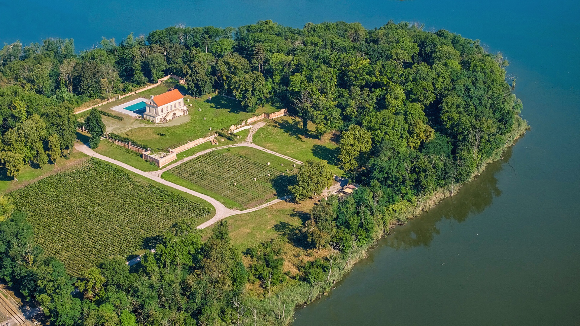 VINO CIBULKA
