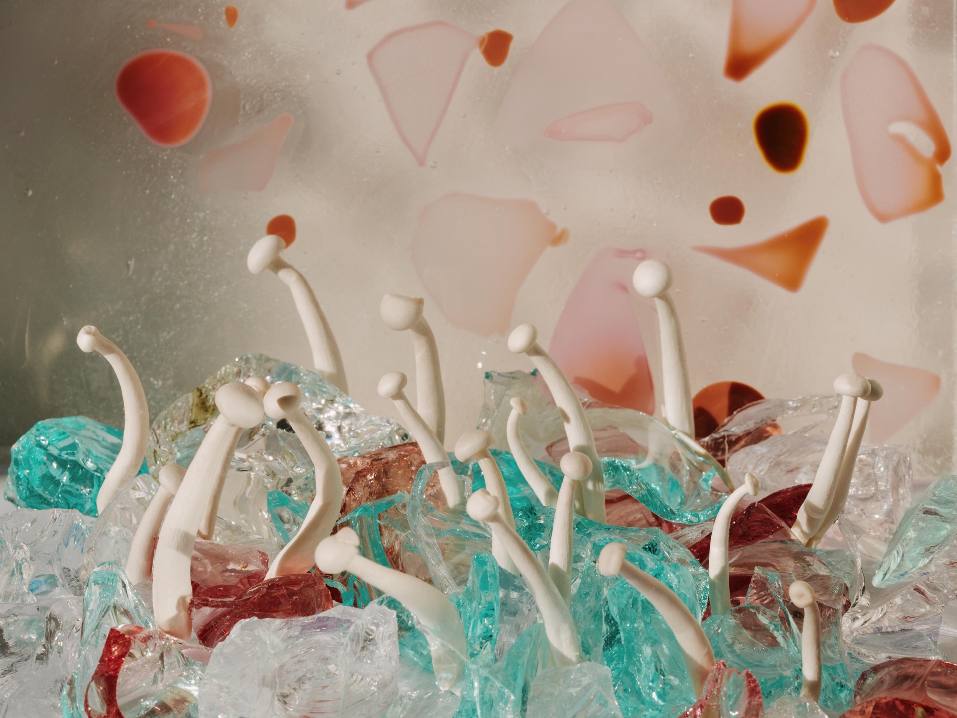 Moravská galerie a Designblok vysílají do Milána nejlepší české designéry skla, porcelánu a keramiky ve velkolepé výstavě Made by Fire v prostorách Triennale Milano